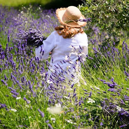 La Torre Del Poggio (Marche)